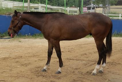 ��귰Ű ����