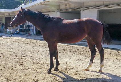 �����ͽ���Ʈ ����