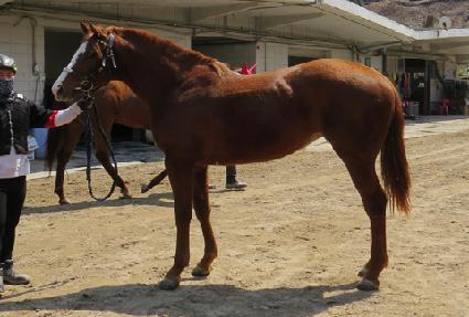 �������̸� ����