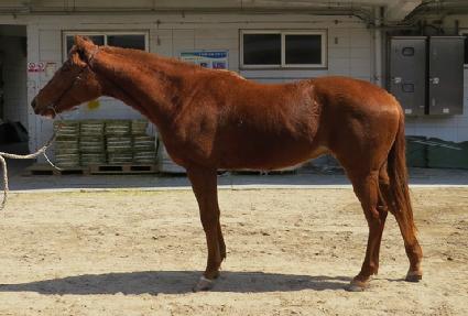 �׸����̽� ����