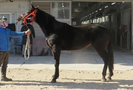 �Ӵ�Ĺ ����