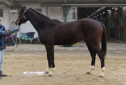 �����ö��� ����