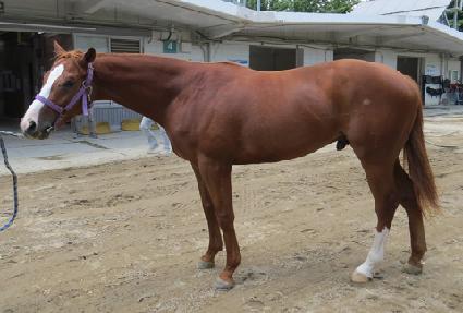 ������Ż� ����