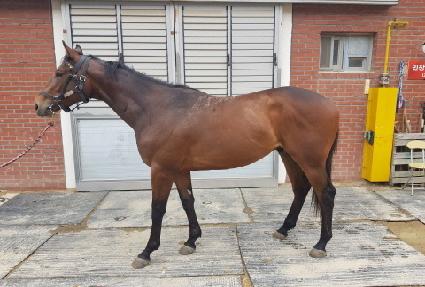 ��ǳ�Ҹ� ����