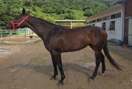 �ϸ������ ����