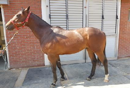 ����繫���� ����