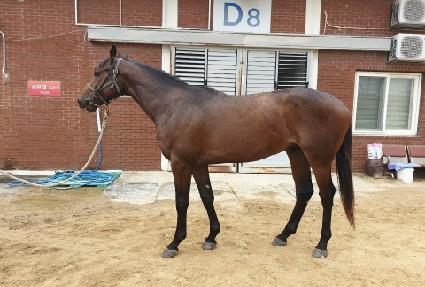 ��������� ����