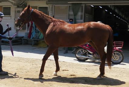 �̽�Ʈ�� ����