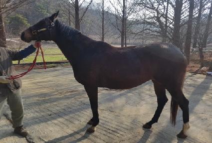 ��ġ���� ����