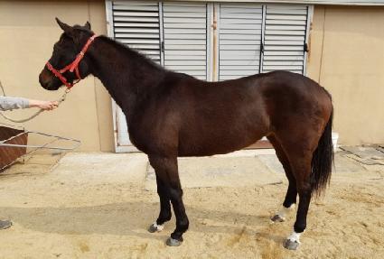 �������� ����