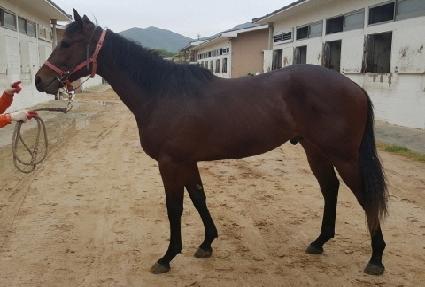 ��������ġ ����