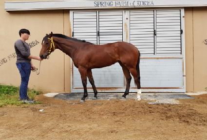 ���缦�� ����