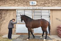 �����Ľ� (HIDDEN POSSE) ����