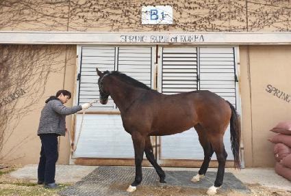 �����Ľ� ����