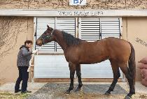 ȯ���ǹݼ� (HWANHUIUI BANSEOK) ����