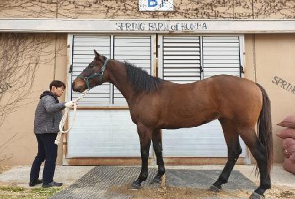 ȯ���ǹݼ� ����