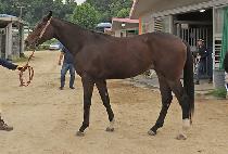 ������ (JEONUSADAE) ����