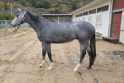 �������� ����