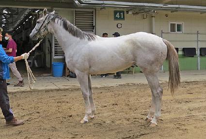 �������ڵ� ����