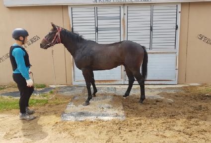 �ӴϹ� ����