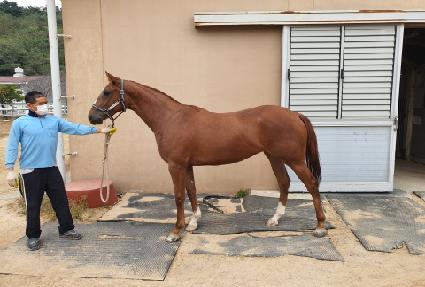 �������� ����