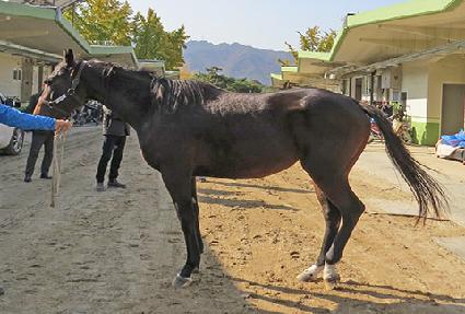 ����Ʈ�� ����