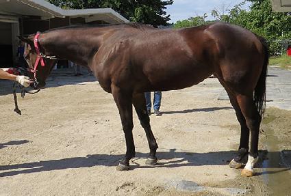 �糪���� ����