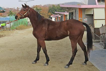 �̻����� ����