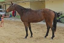 ���ܿ� (JEONGYEOUN) ����