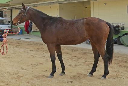 ���ܿ� ����