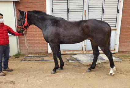 ���� ����