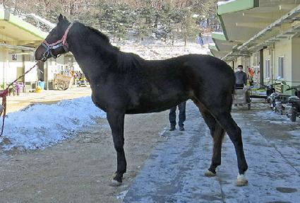 ���������� ����