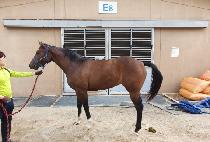 �׷���Ʈ���� (GREAT DAY) ����