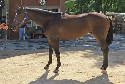 ��õ�� ����