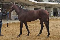 ȭ���Ѱ��� (HWARYEOHAN GANGSAN) ����