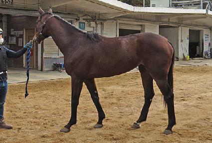 ȭ���Ѱ��� ����