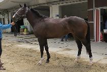 Ư�޿��� (TEUKGEUP YEOWANG) ����