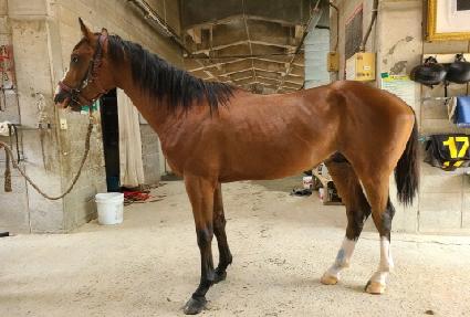 �����庸�� ����