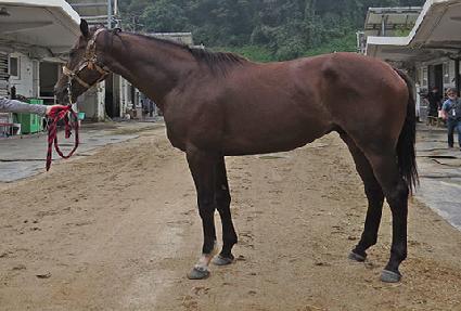 ������ ����