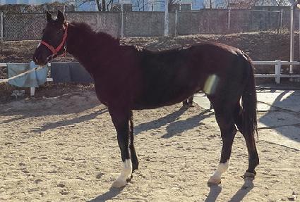 ��þ� ����