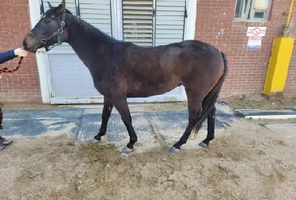 �������� ����