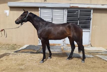 �ؿ��ٴ� ����