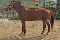 ������ (MY WIN) ����