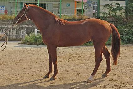 ������ ����