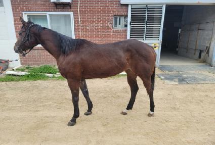 ���̼� ����