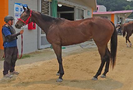 �������� ����