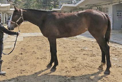 �������� ����