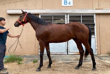 �ο����ͺ� ����