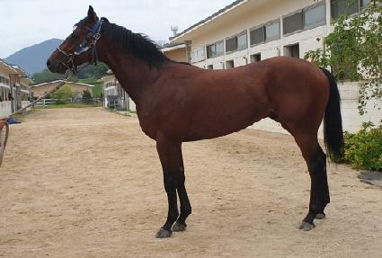 ��������� ����