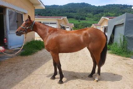 ������ ����